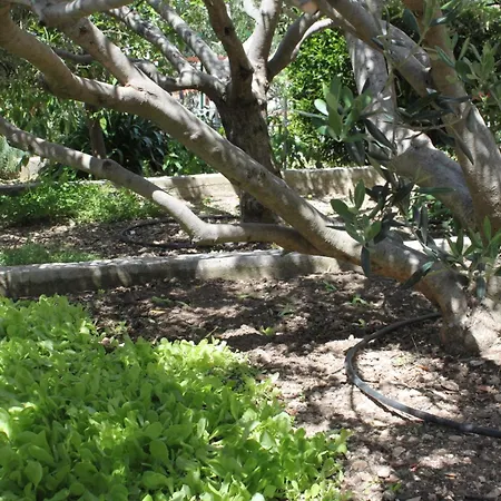 With A Parking Space Hvar - 8794