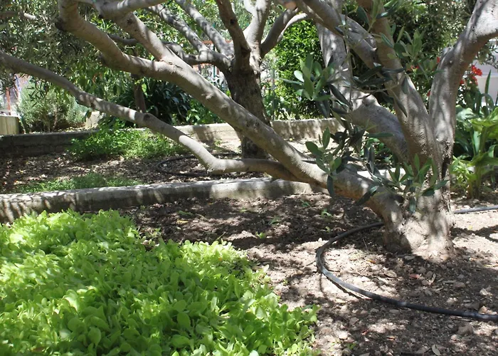 With A Parking Space Hvar - 8794